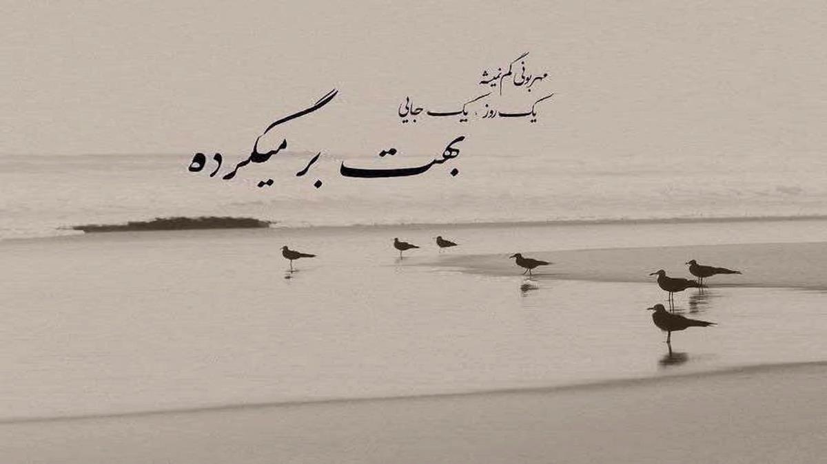 ددیم گوزل هارالیسان